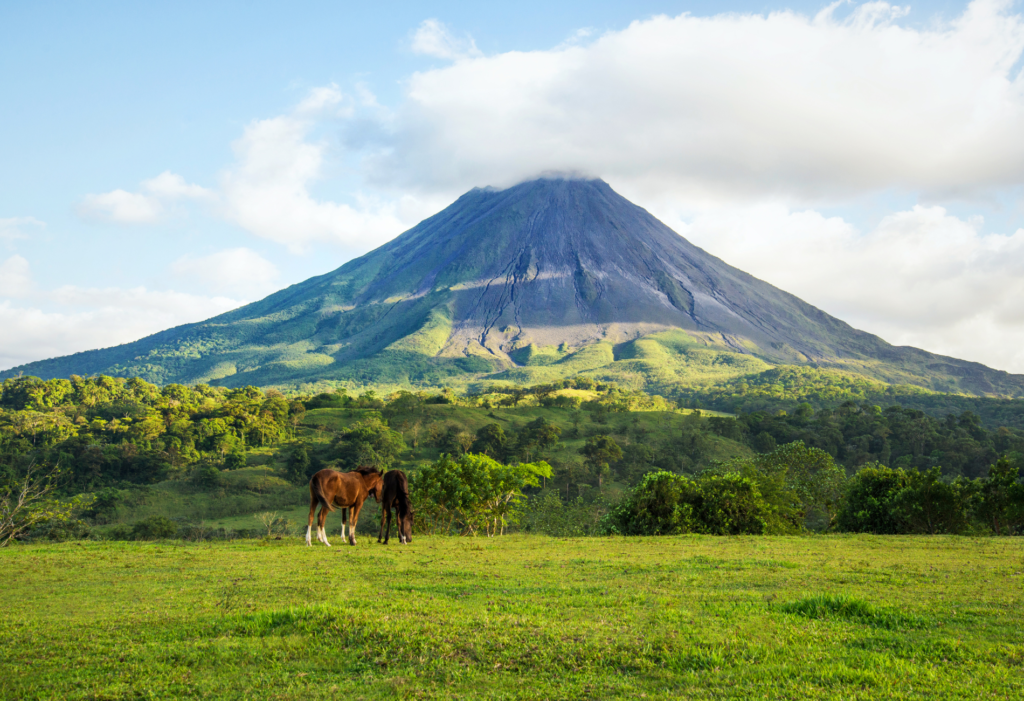 A volcano in costa rica with horses in the foreground
