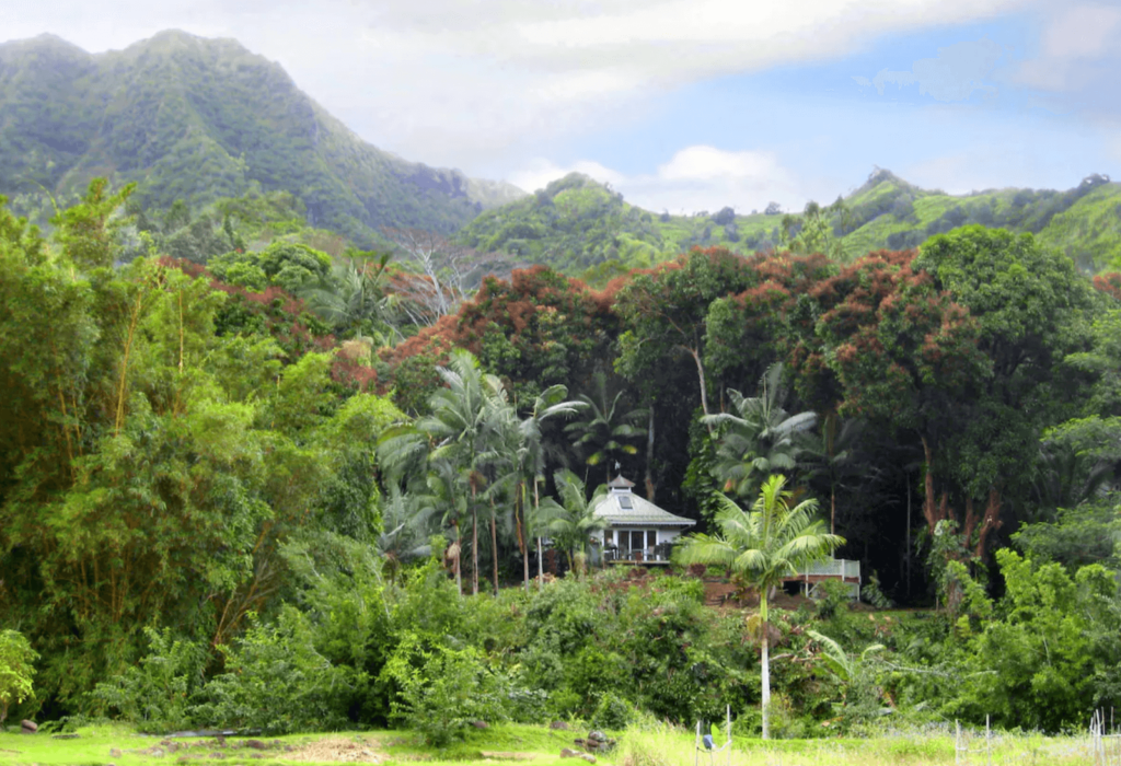 tropical forest cottage