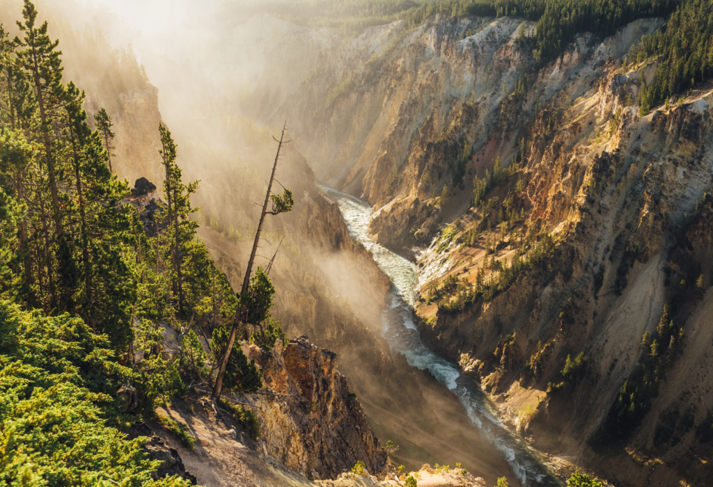 grand canyon of yellowstone