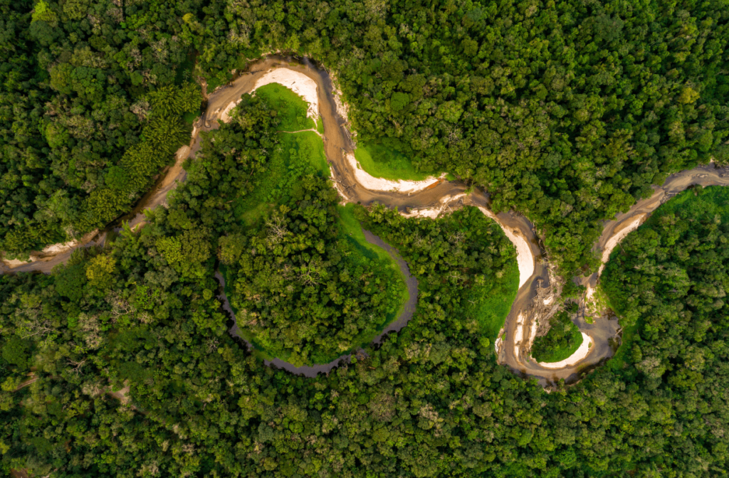 Aerial view Amazon rainforest