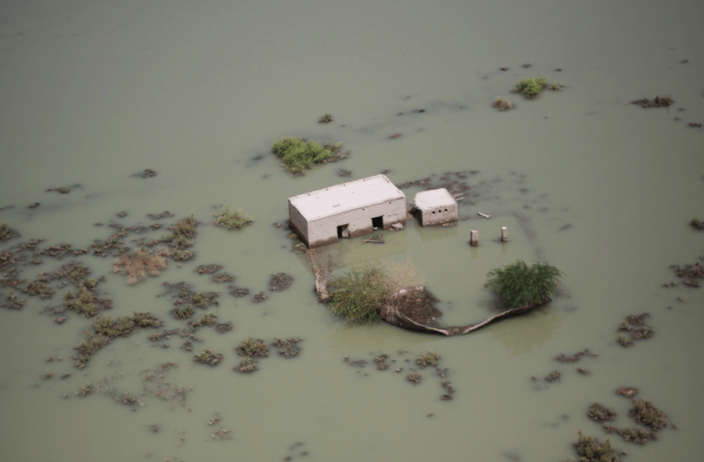 pakistan flood 2010