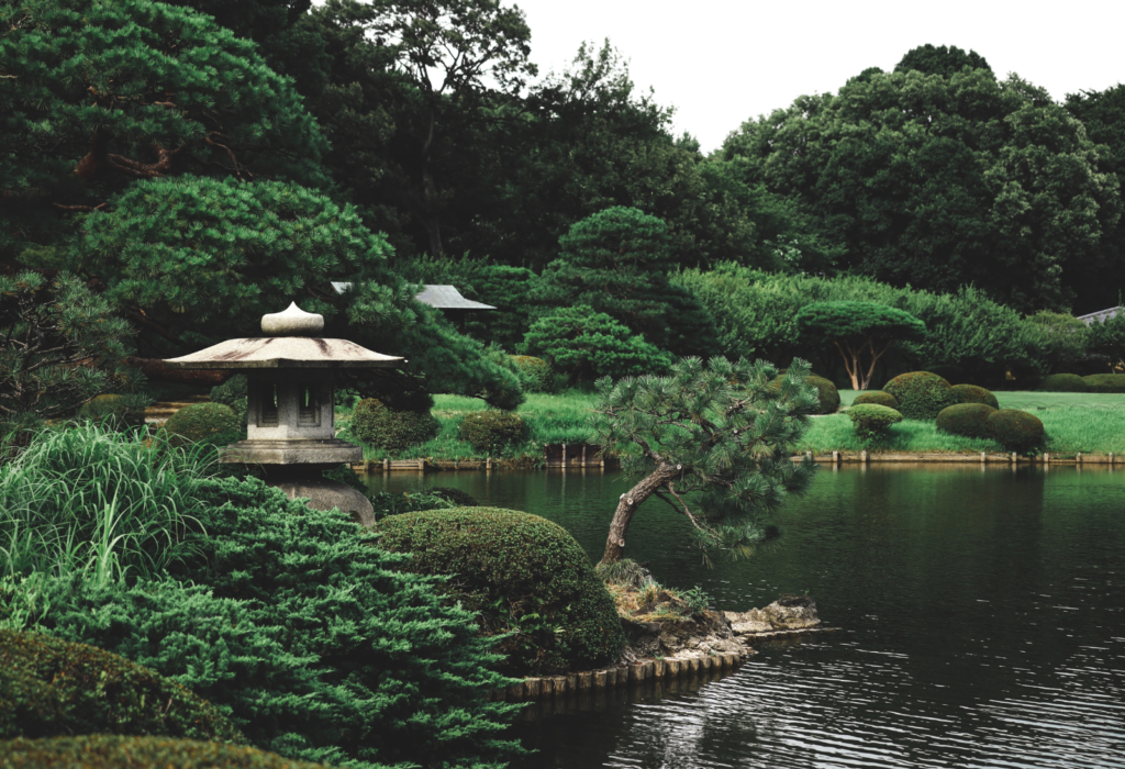 shinjuku park tokyo japan