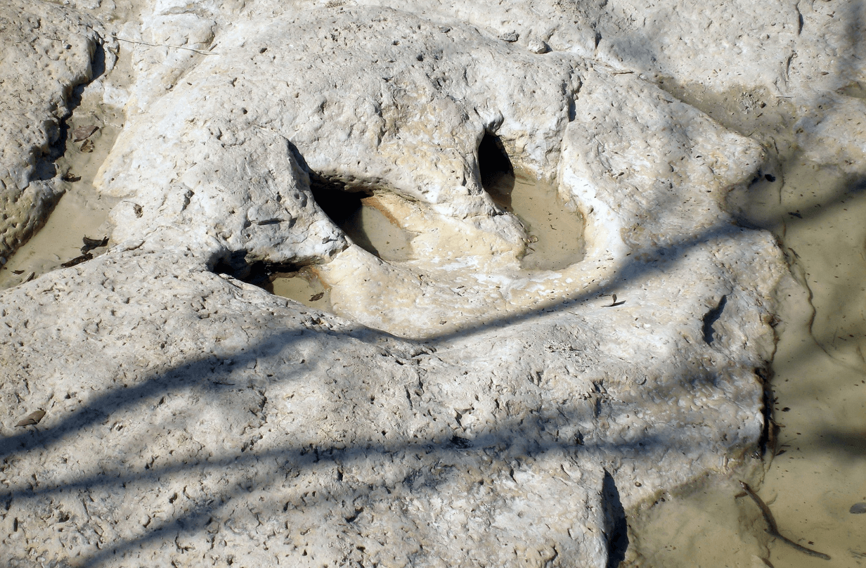 dinosaur valley park dinosaurtracks