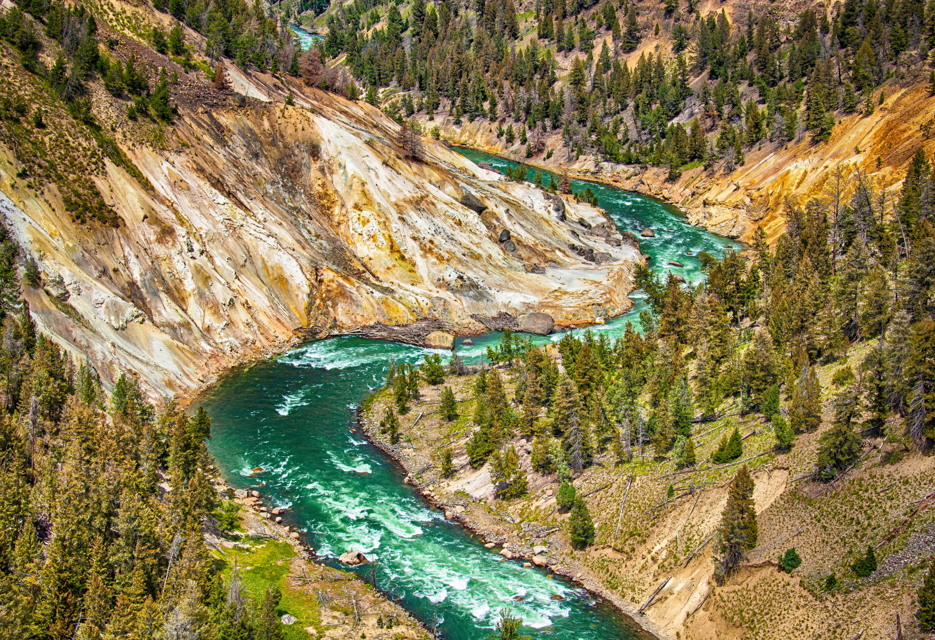 Yellowstone national park