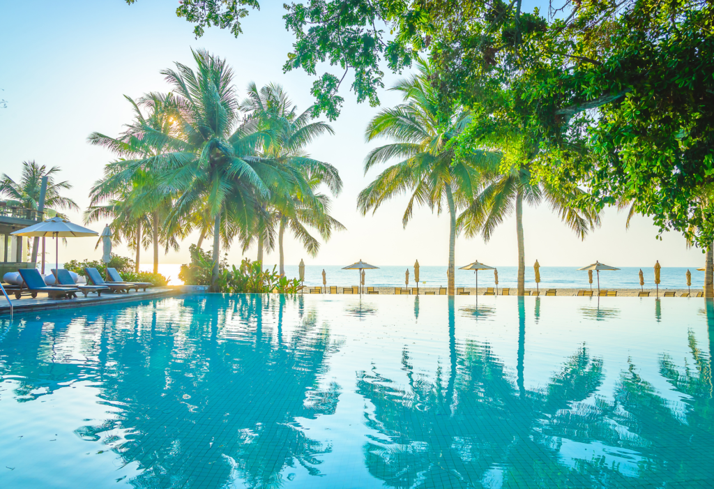 Hotel pool palm trees