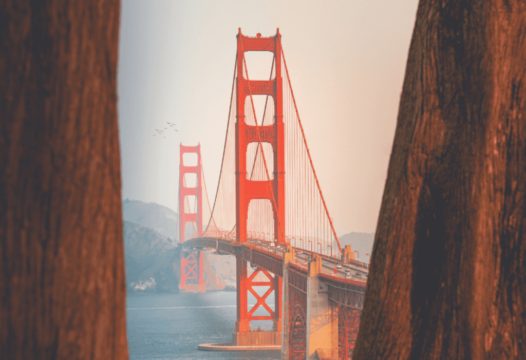 Golden gate bridge between trees