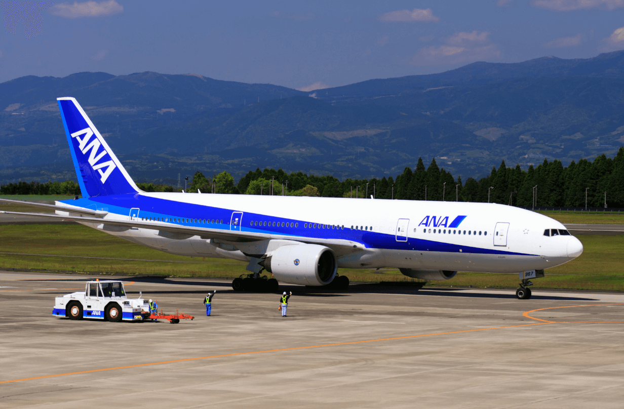 all nippon airways plane