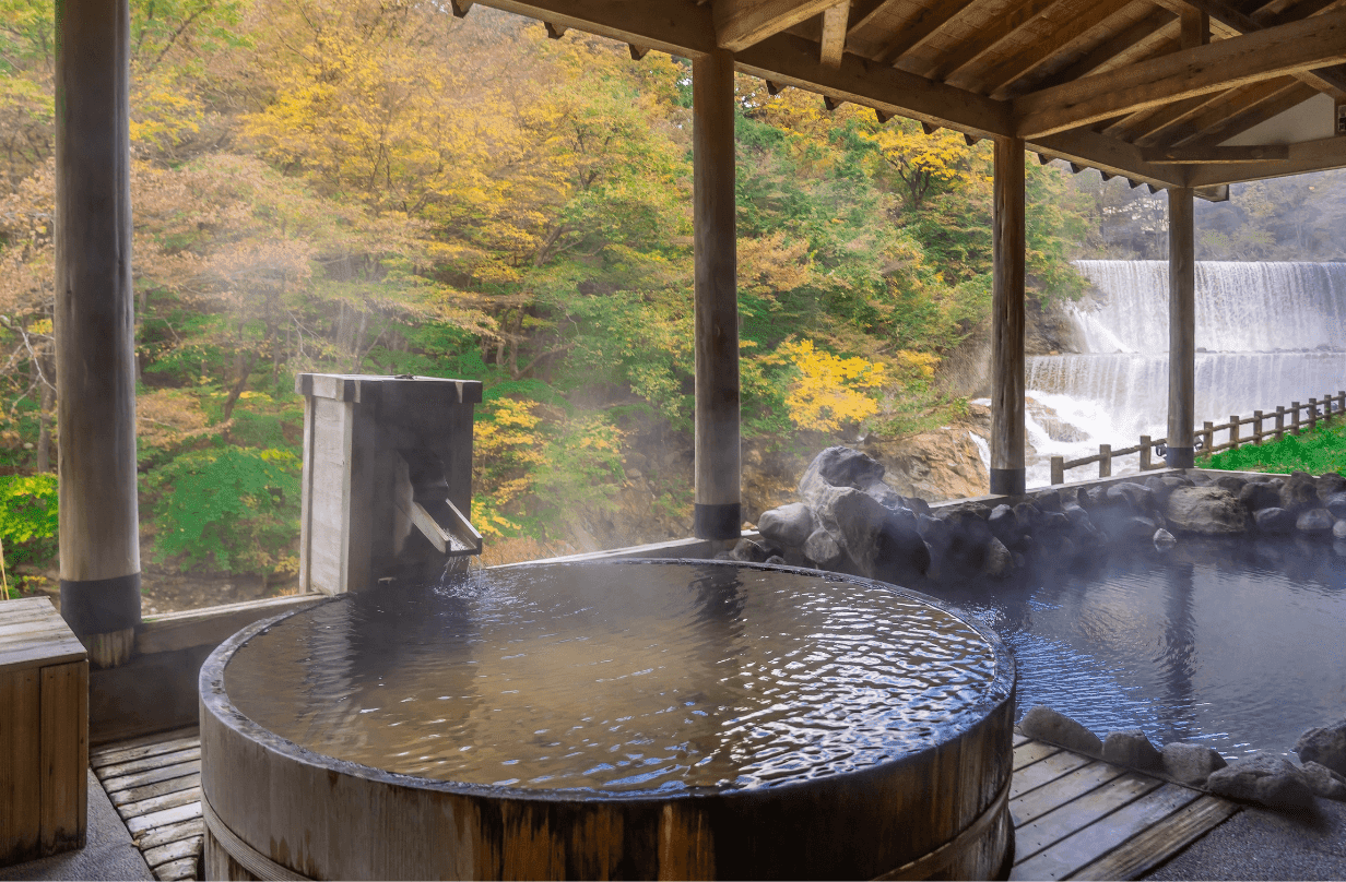 Hyatt Japan Ryokan hot springs
