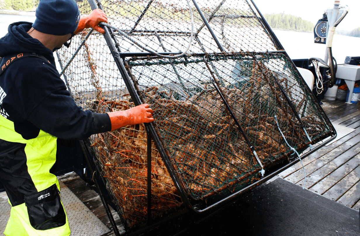 fisherman crabbing