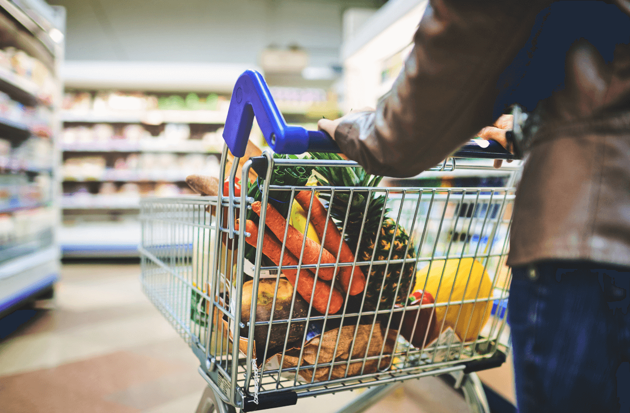 woman pushing grocery shopping cart