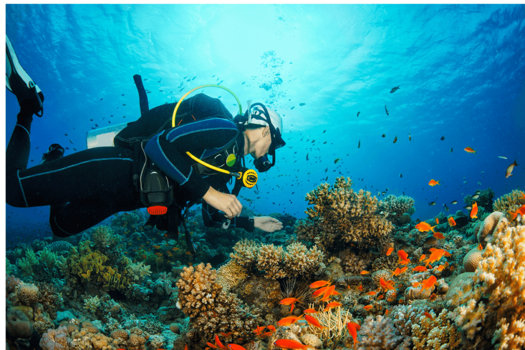 scuba diver florida keys