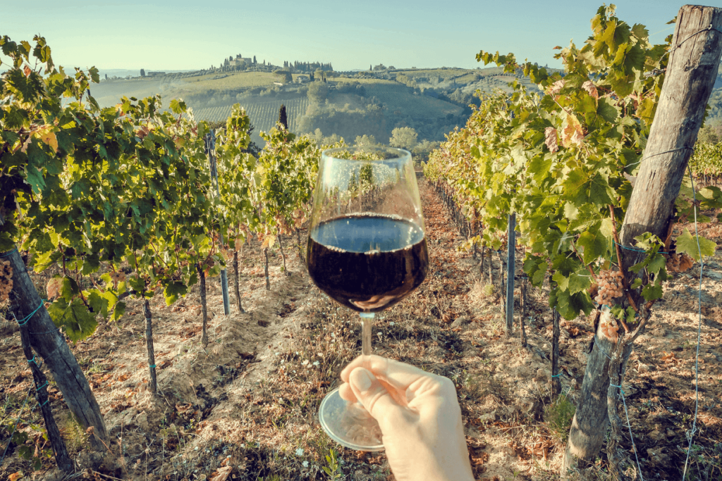 wine tour tuscany