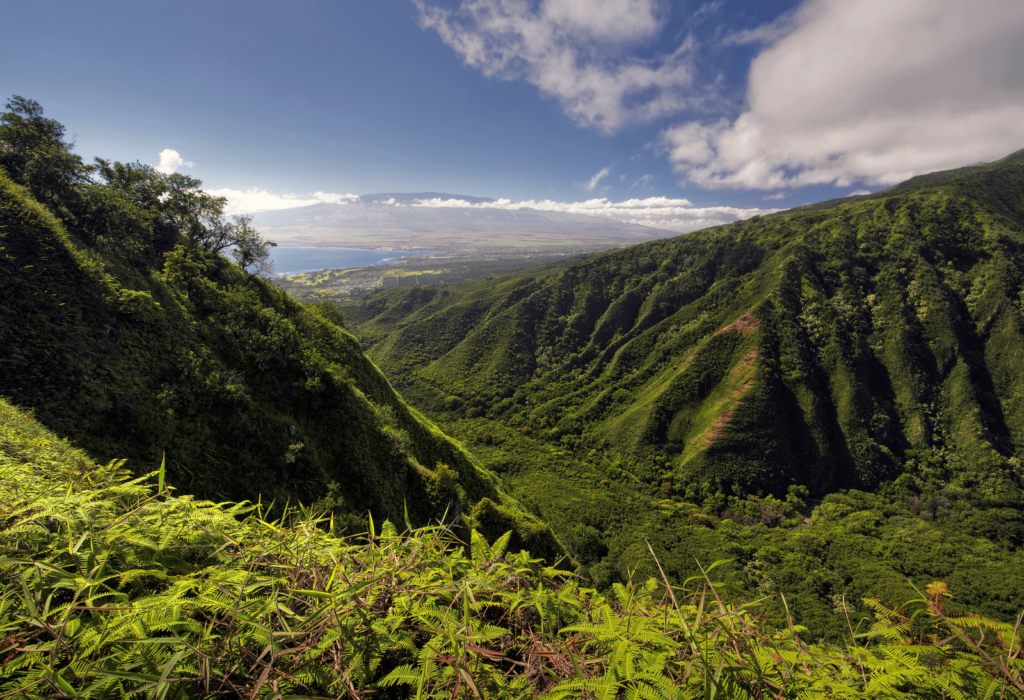 waihee ridge trail