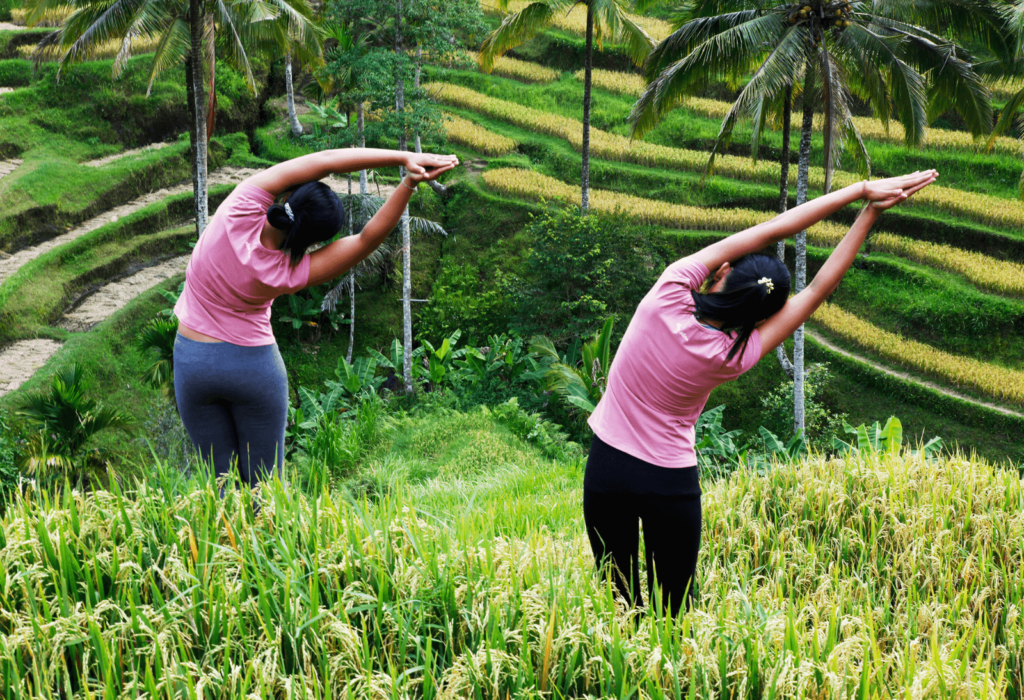 yoga rice fields