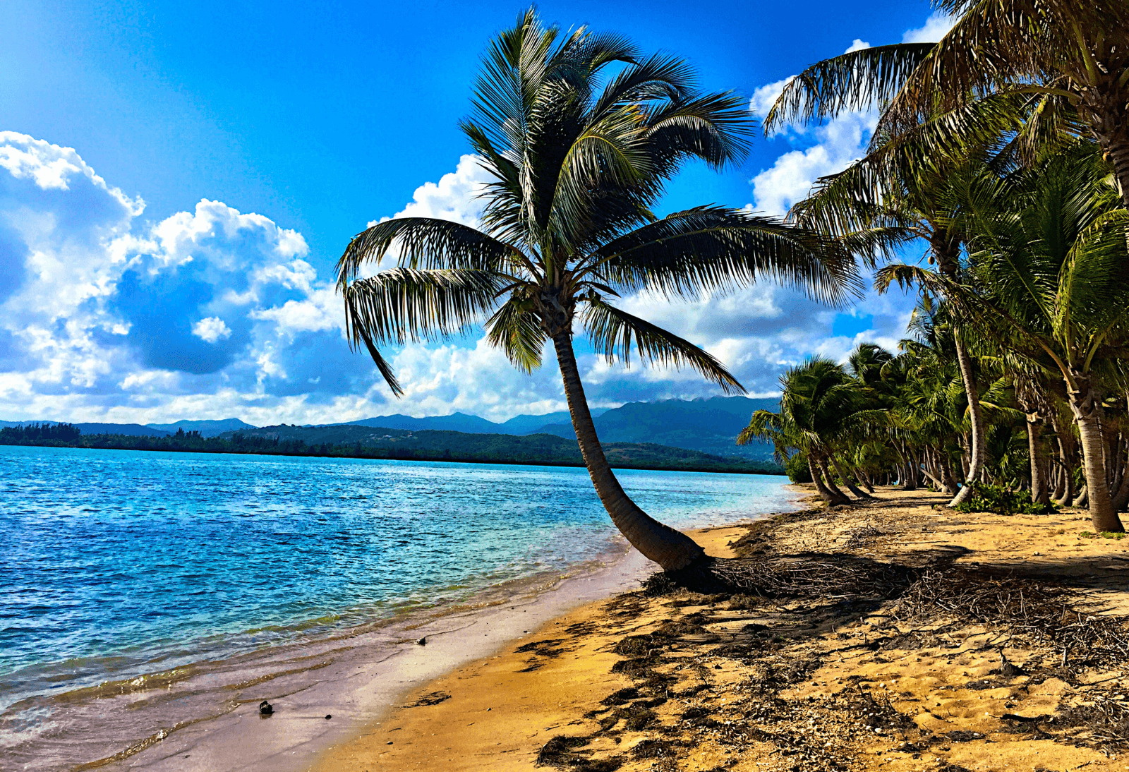 puerto rico beach