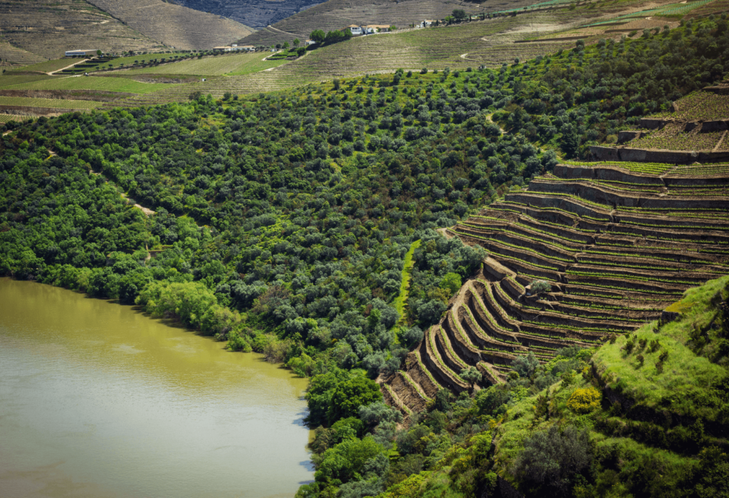 duoro valley