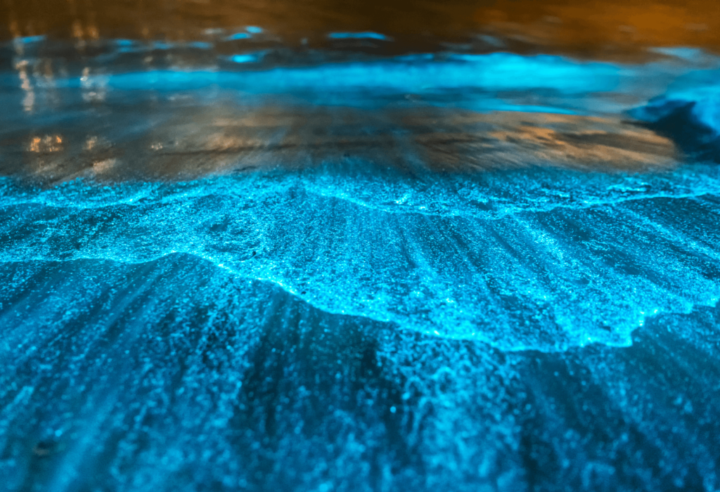 glowing water