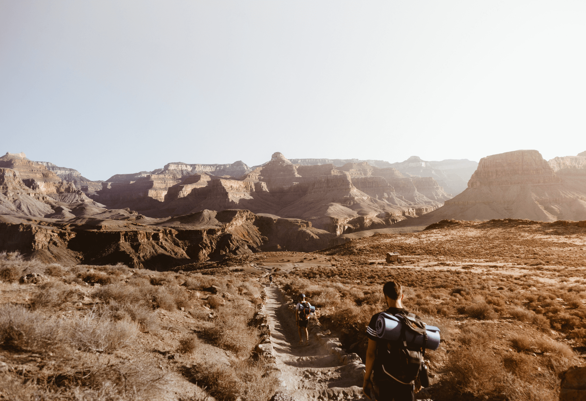 hiker in grand canyon national park