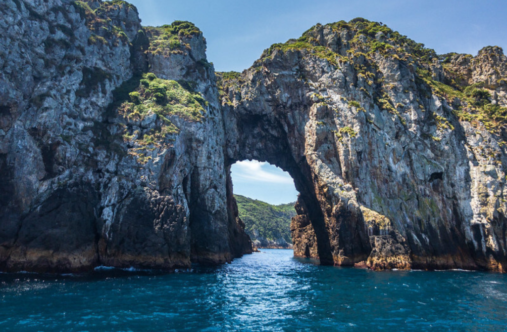 poor knights island in new zealand best diving spot