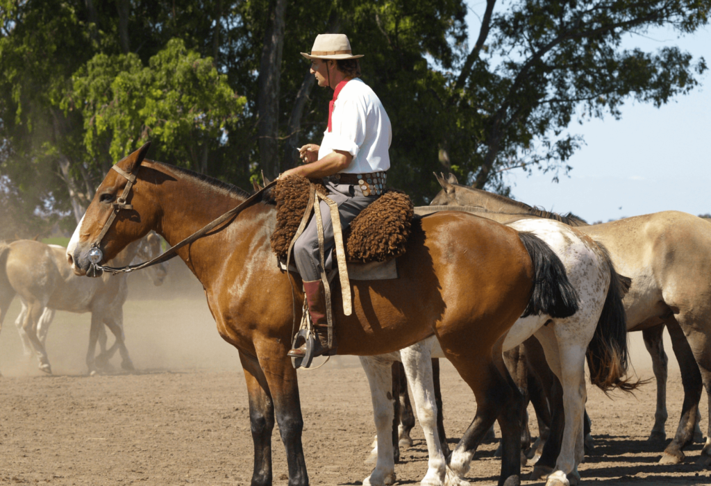 gauchos in argentina