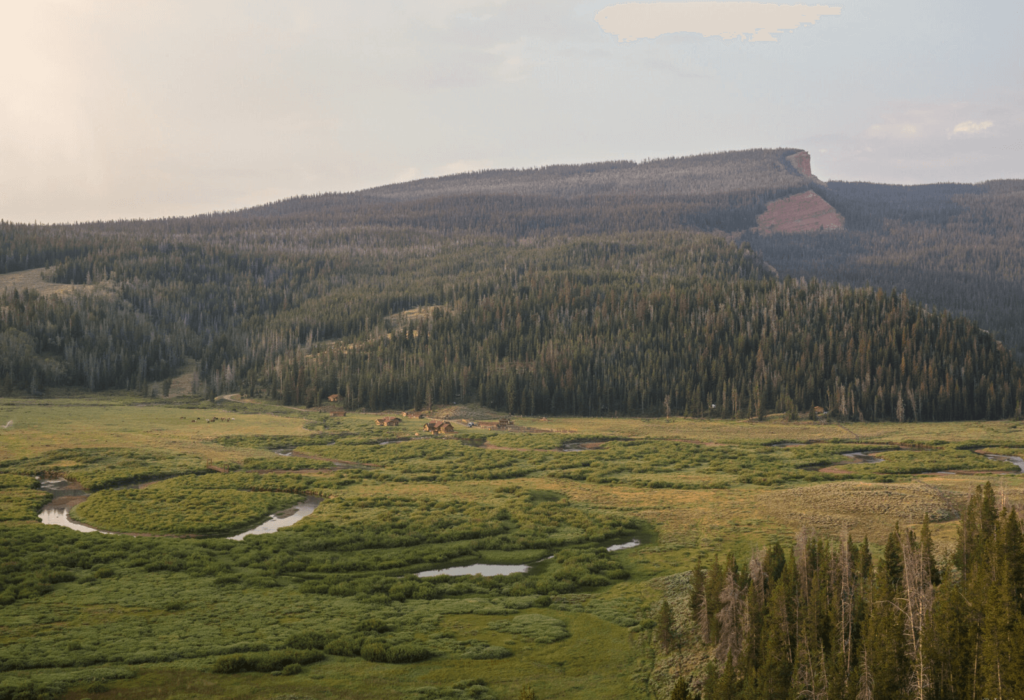 remote lodge