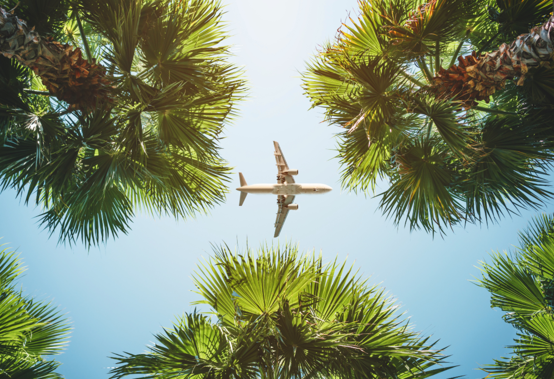 airpline in blue sky with trees beneath