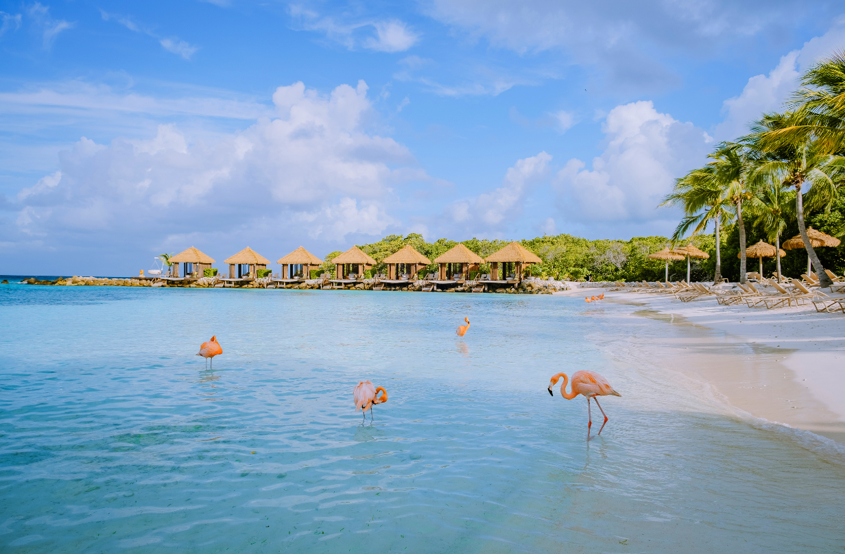 beach in aruba