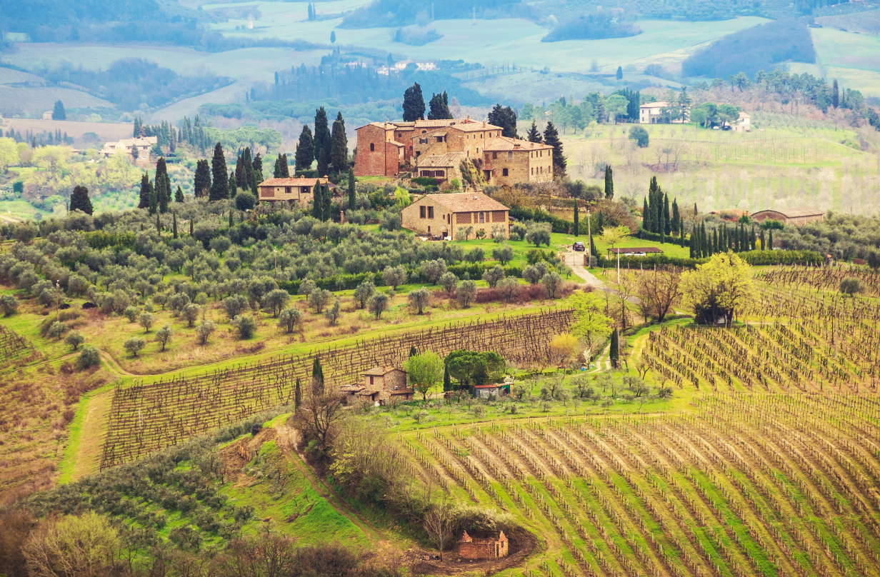 wine country tuscany