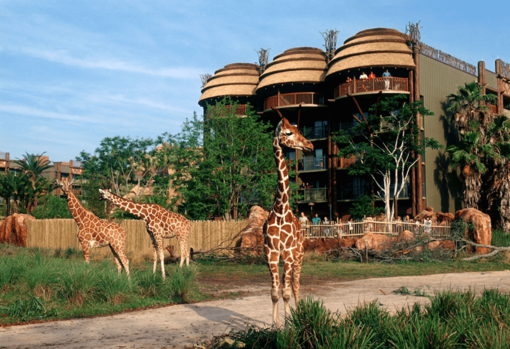 disneys animal kingdom lodge