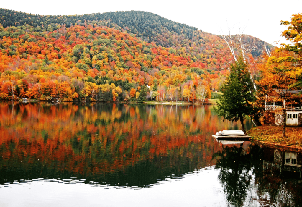 fall by a lake