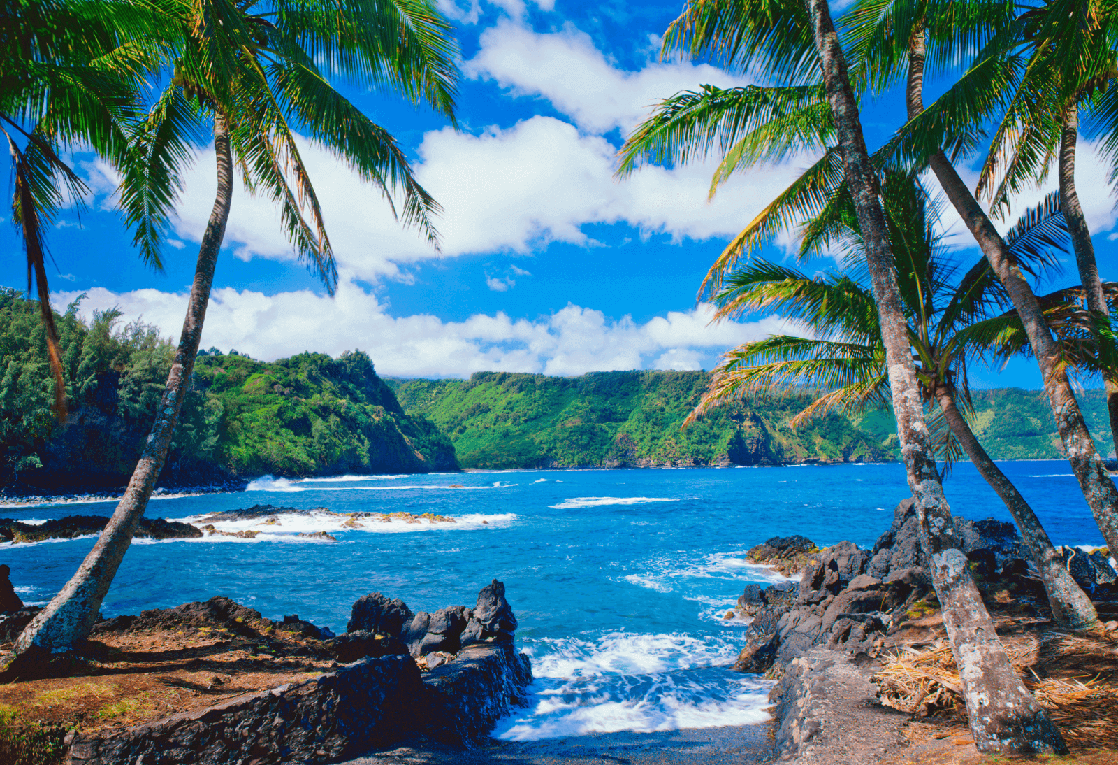 Which is the Best Airline to Fly to Hawaii With Points and Miles?