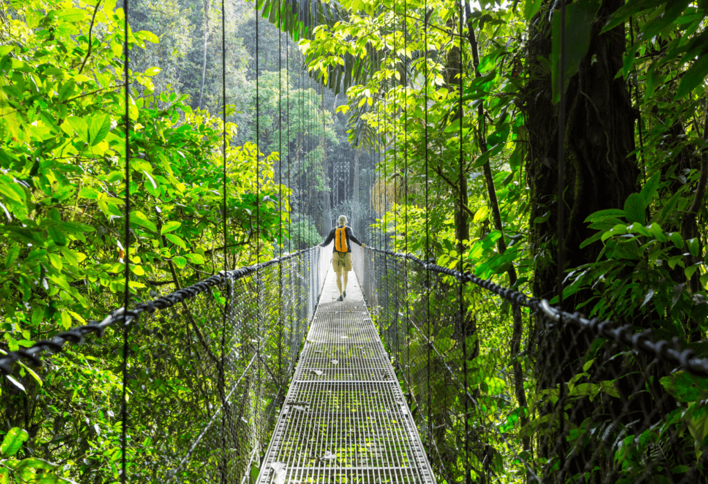 person walking in jungle in Costa Rica, one of the places you can go to with the semi-annual sale from Southwst vacation packages