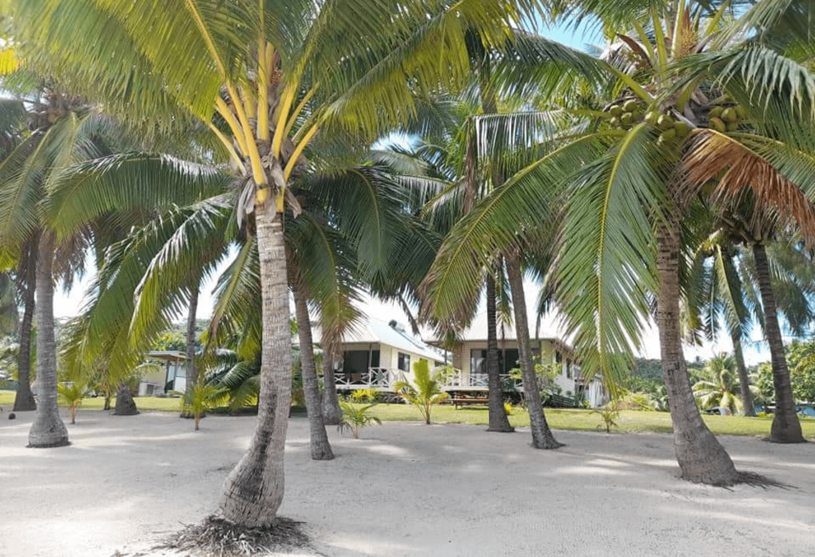 The Paprei Bungalows in the Cook Islands