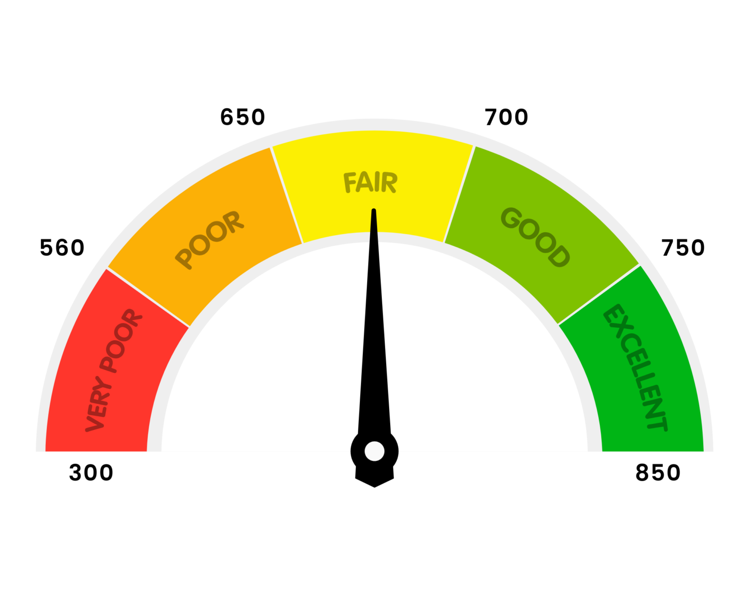 Ultimate Credit Score Guide | The Daily Navigator