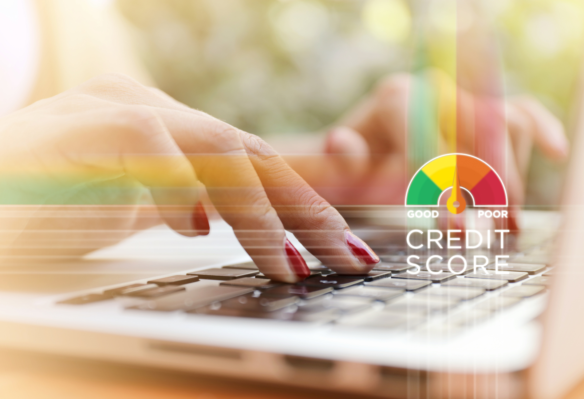 Improve Credit Score Header Image