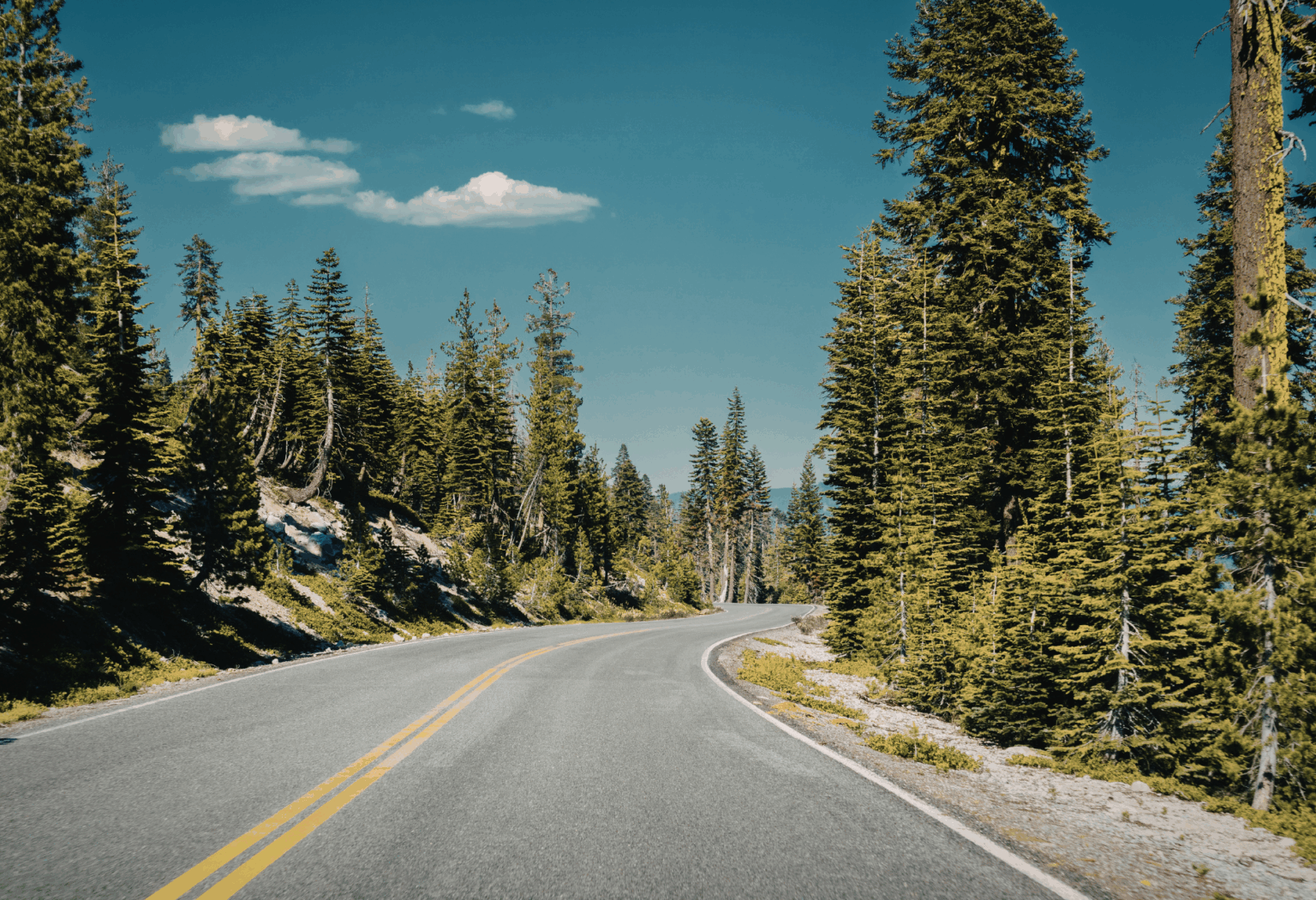 car driving