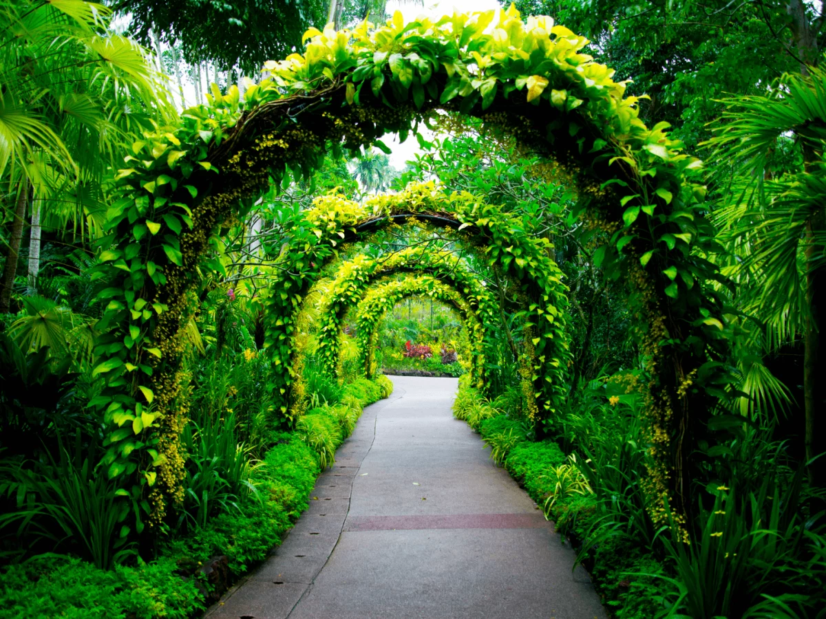 singapore botanic gardens